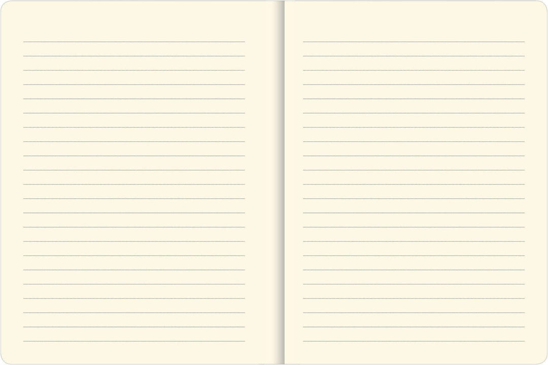 Two open pages of a notebook with lined paper on a white background