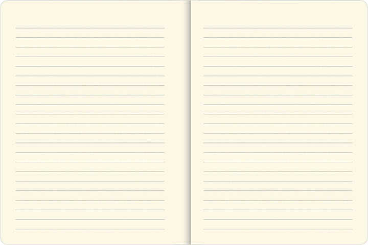 Two open pages of a notebook with lined paper on a white background