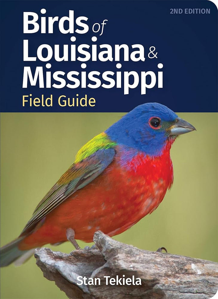 Birds of Louisiana &amp; Mississippi Field Guide (Bird Identification Guides) cover image